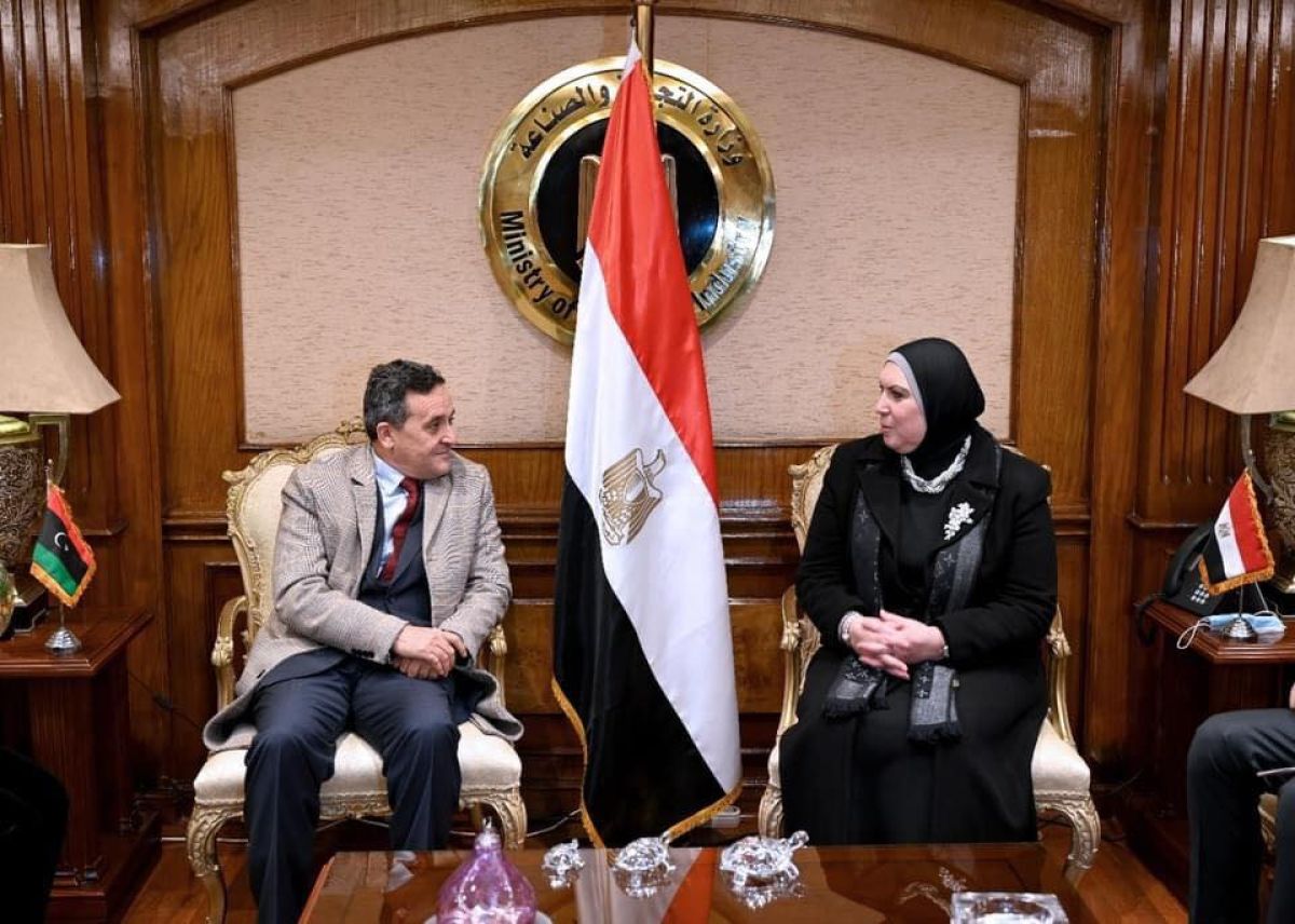We Are Keen To Benefit From The Egyptian Economic Experience, Minister Of State For Economic Affairs Says.
