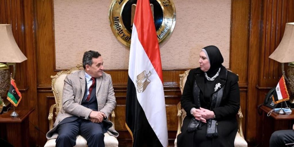 We Are Keen To Benefit From The Egyptian Economic Experience, Minister Of State For Economic Affairs Says.
