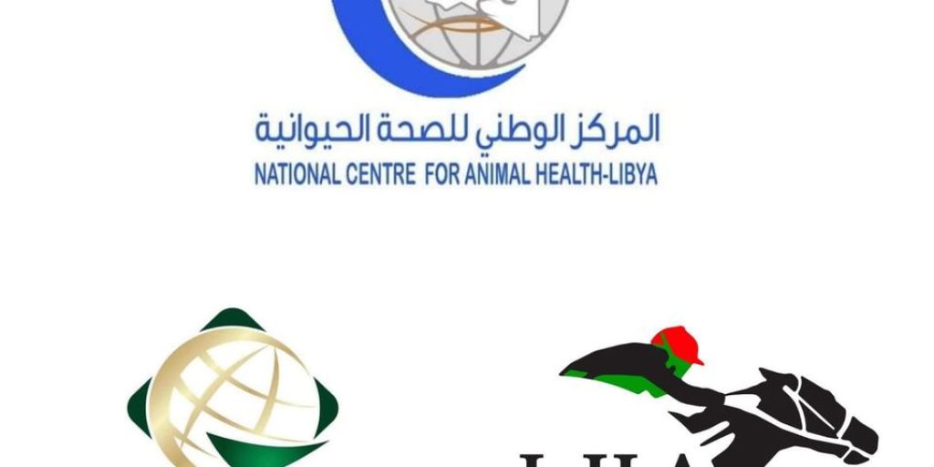 Libyan authorities discuss export of horses to international markets