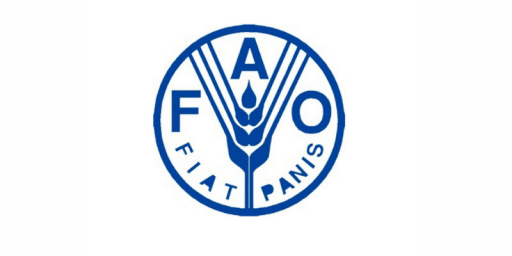 فاو
