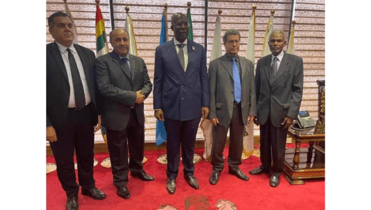 مباحثات ليبية نيجيرية حول آليات الاستثمار في مجال الطاقة.